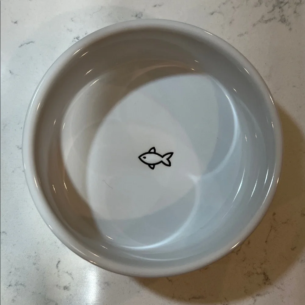 EveryYay Dining In Good Kitty Ceramic Cat Bowl, 1 Cup